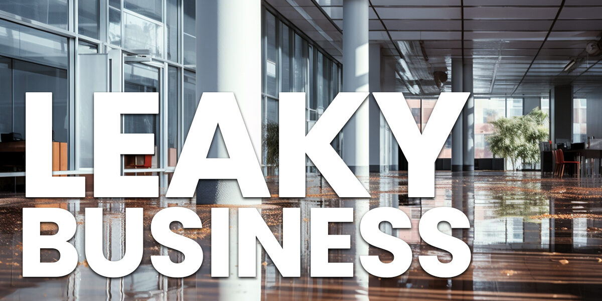 BUSINESS- LEAKY BUSINESS